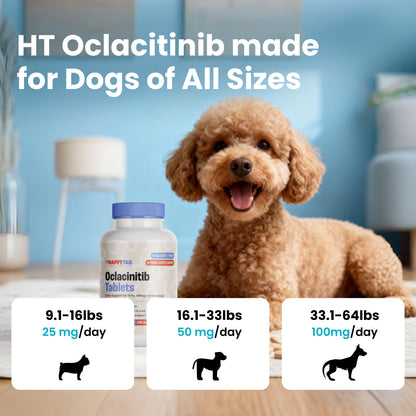 Allergy & Itch Relief Chews