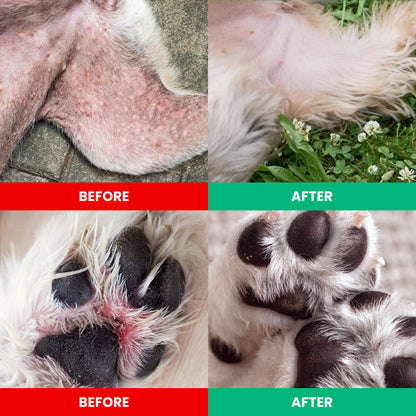 Allergy & Itch Relief Chews