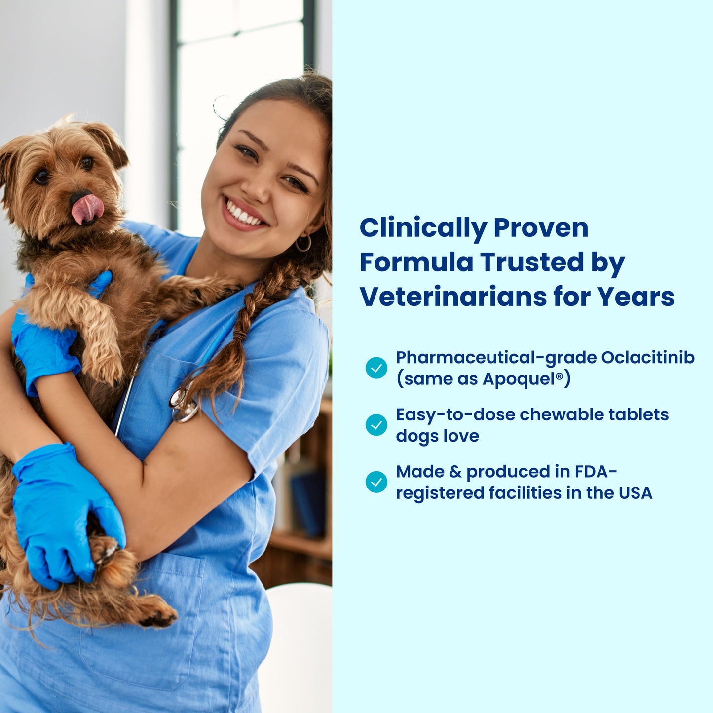 Allergy & Itch Relief Chews